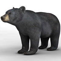 black bear